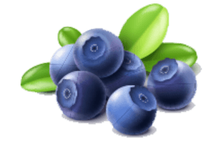 blueberry-yogurt